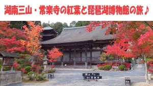 日帰りバスツアーのご案内